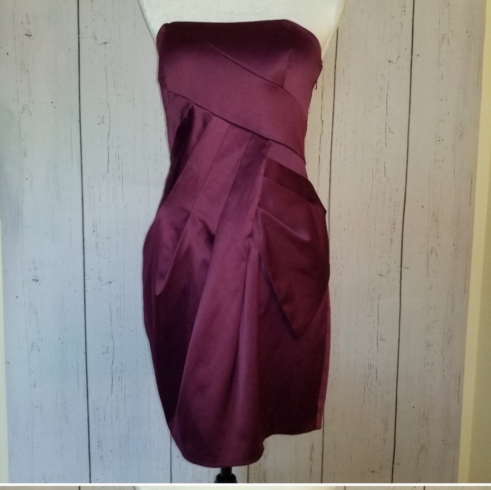 MAX & CLEO Elegant Plum  Strapless Dress